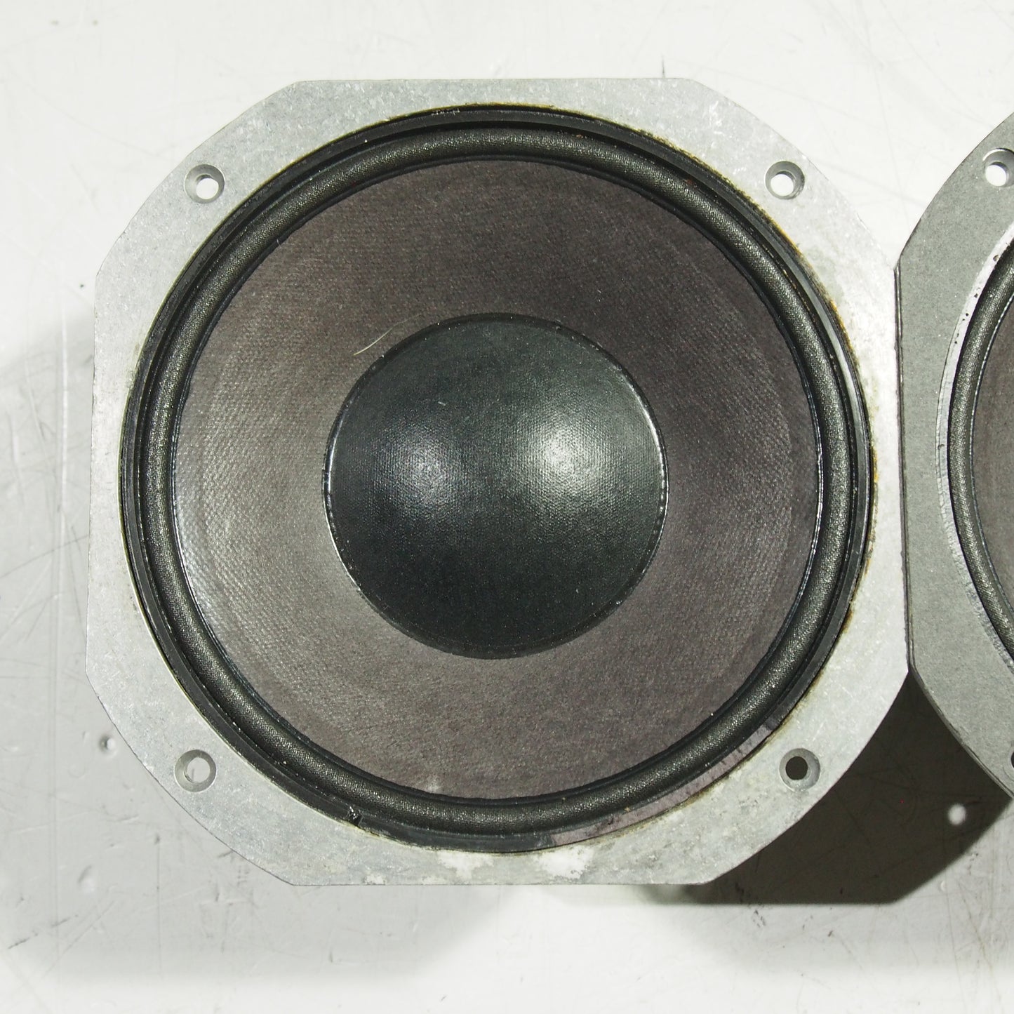 JBL 2169H 8" with Phase Plugs (1 PAIR)