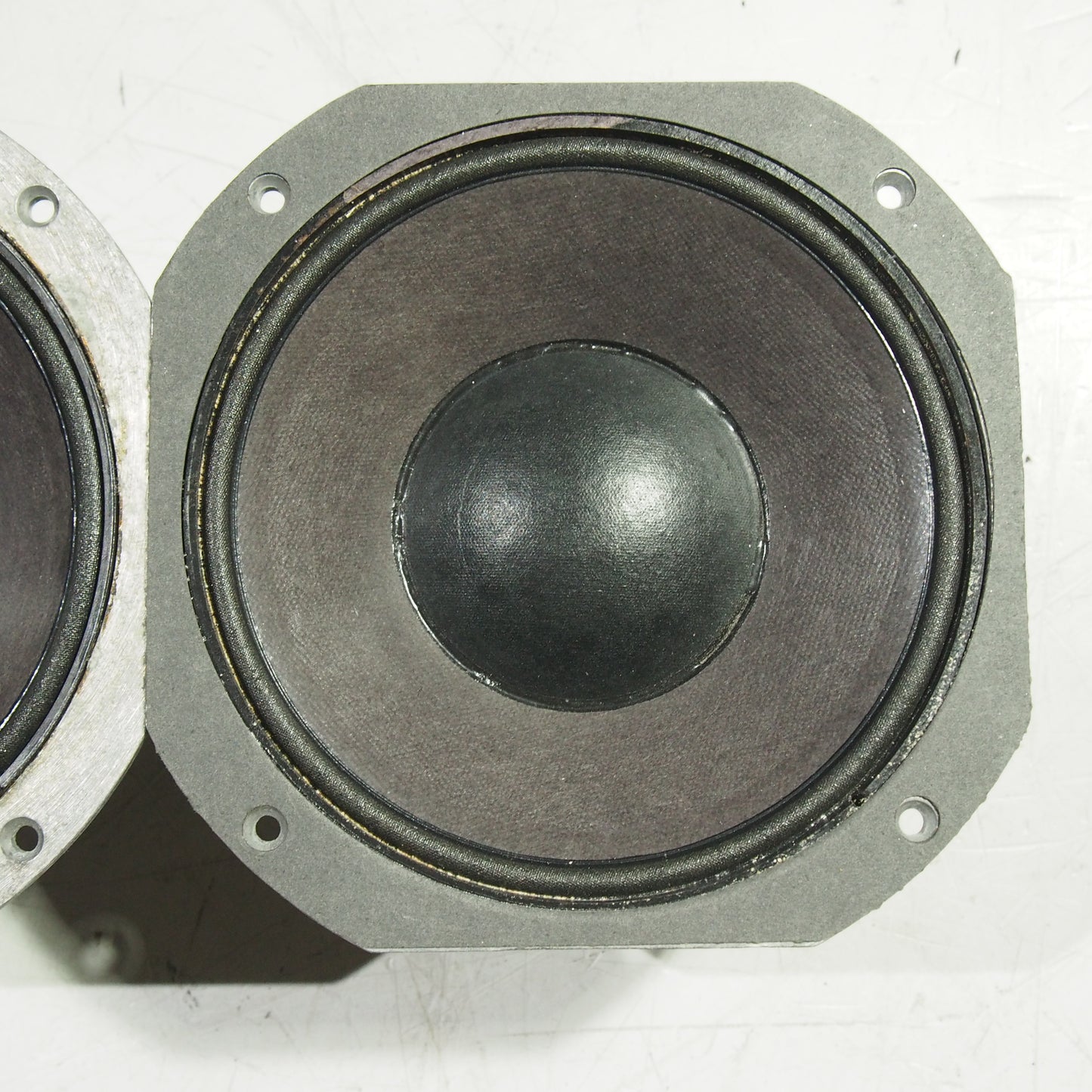 JBL 2169H 8" with Phase Plugs (1 PAIR)